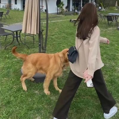 艾拉妮丝